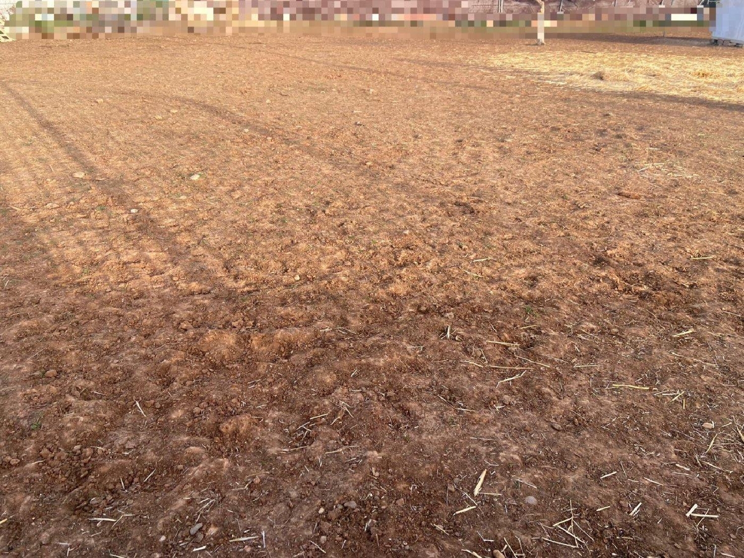  te koop perceel Villafranca De Córdoba Alto Guadalquivir 5