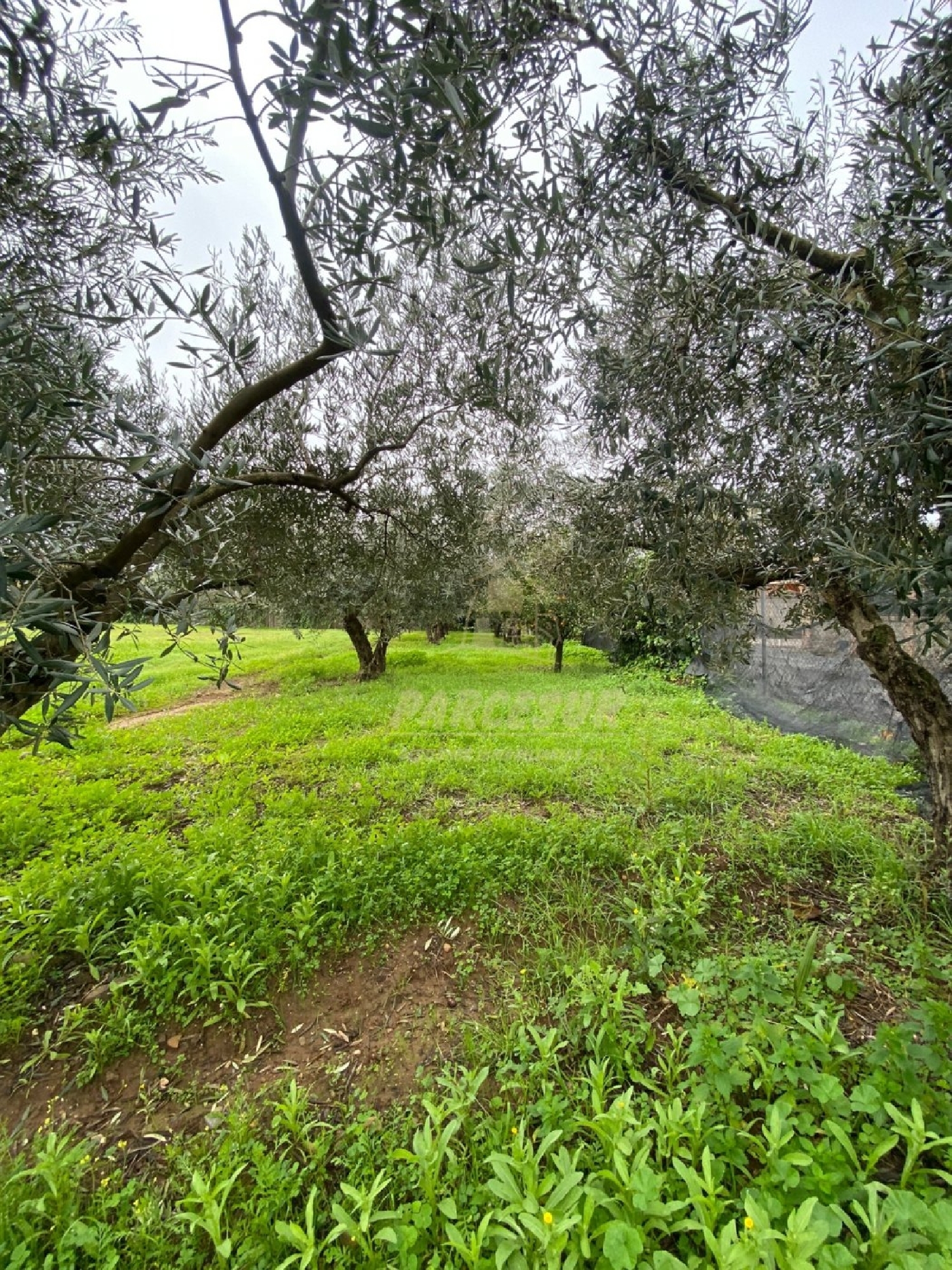  te koop perceel Villafranca De Córdoba Alto Guadalquivir 4