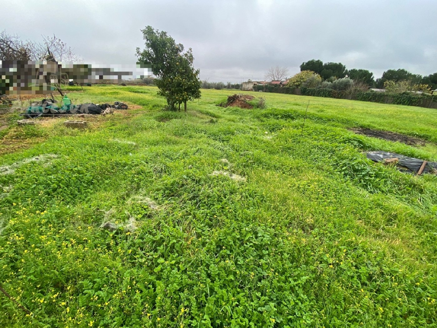  te koop perceel Villafranca De Córdoba Alto Guadalquivir 5