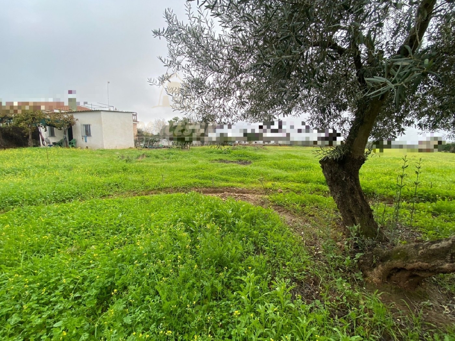  te koop perceel Villafranca De Córdoba Alto Guadalquivir 6