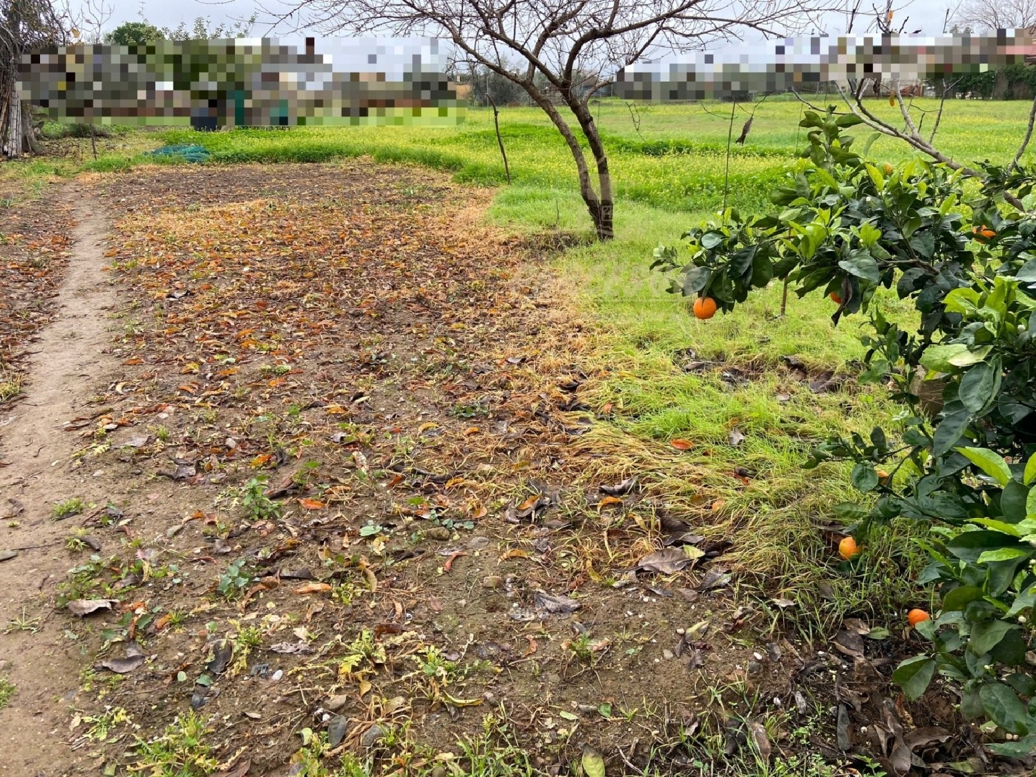 te koop perceel Villafranca De Córdoba Alto Guadalquivir 2