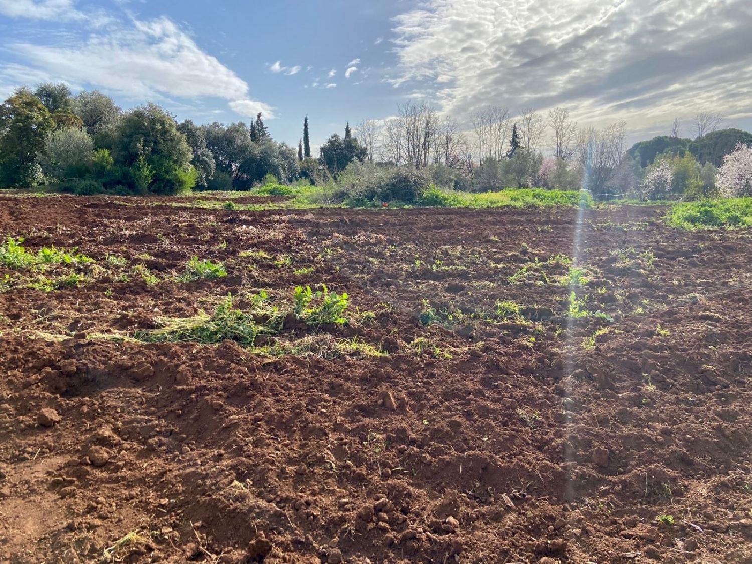  te koop perceel Villafranca De Córdoba Alto Guadalquivir 1