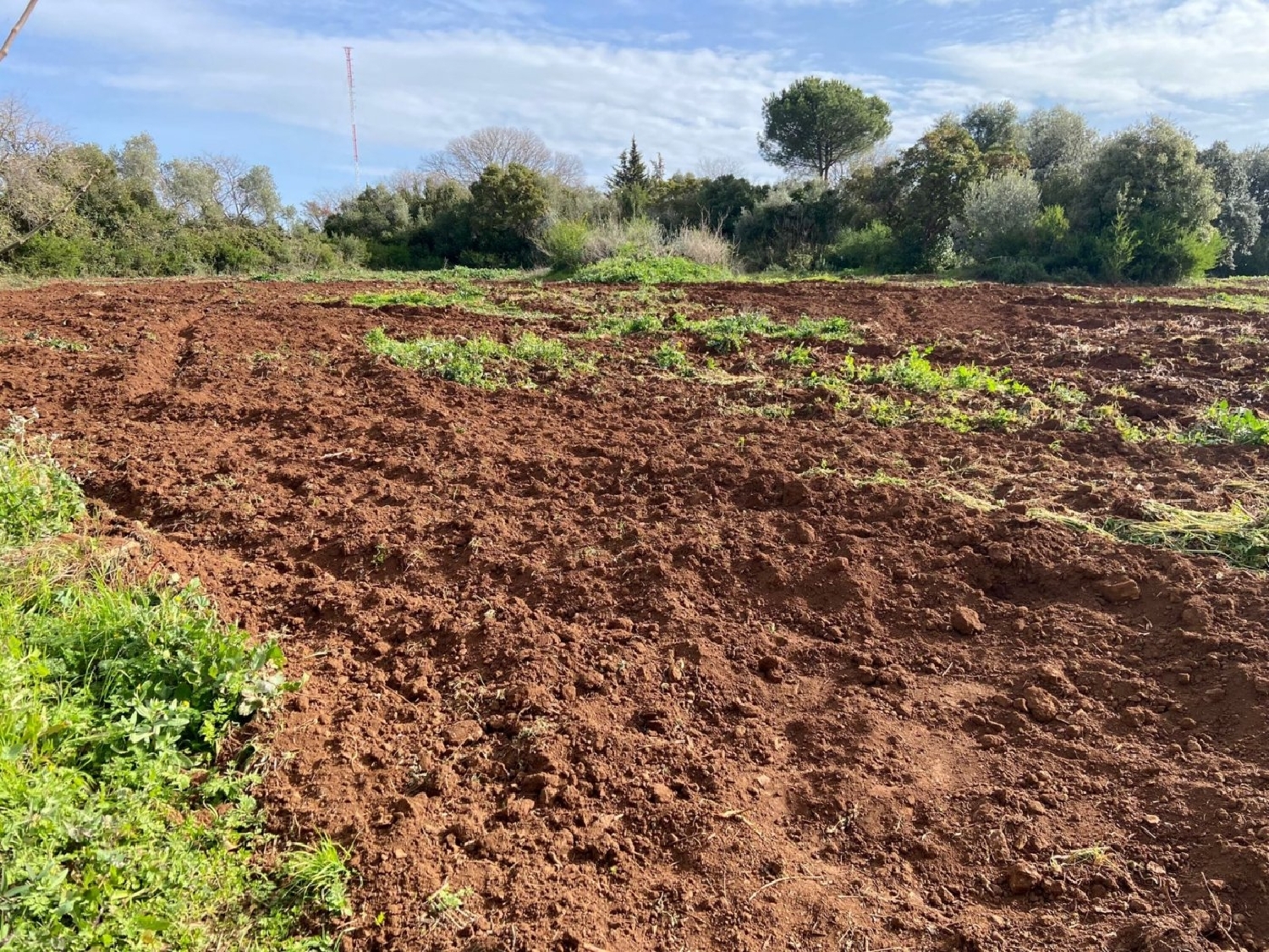 te koop perceel Villafranca De Córdoba Alto Guadalquivir 3