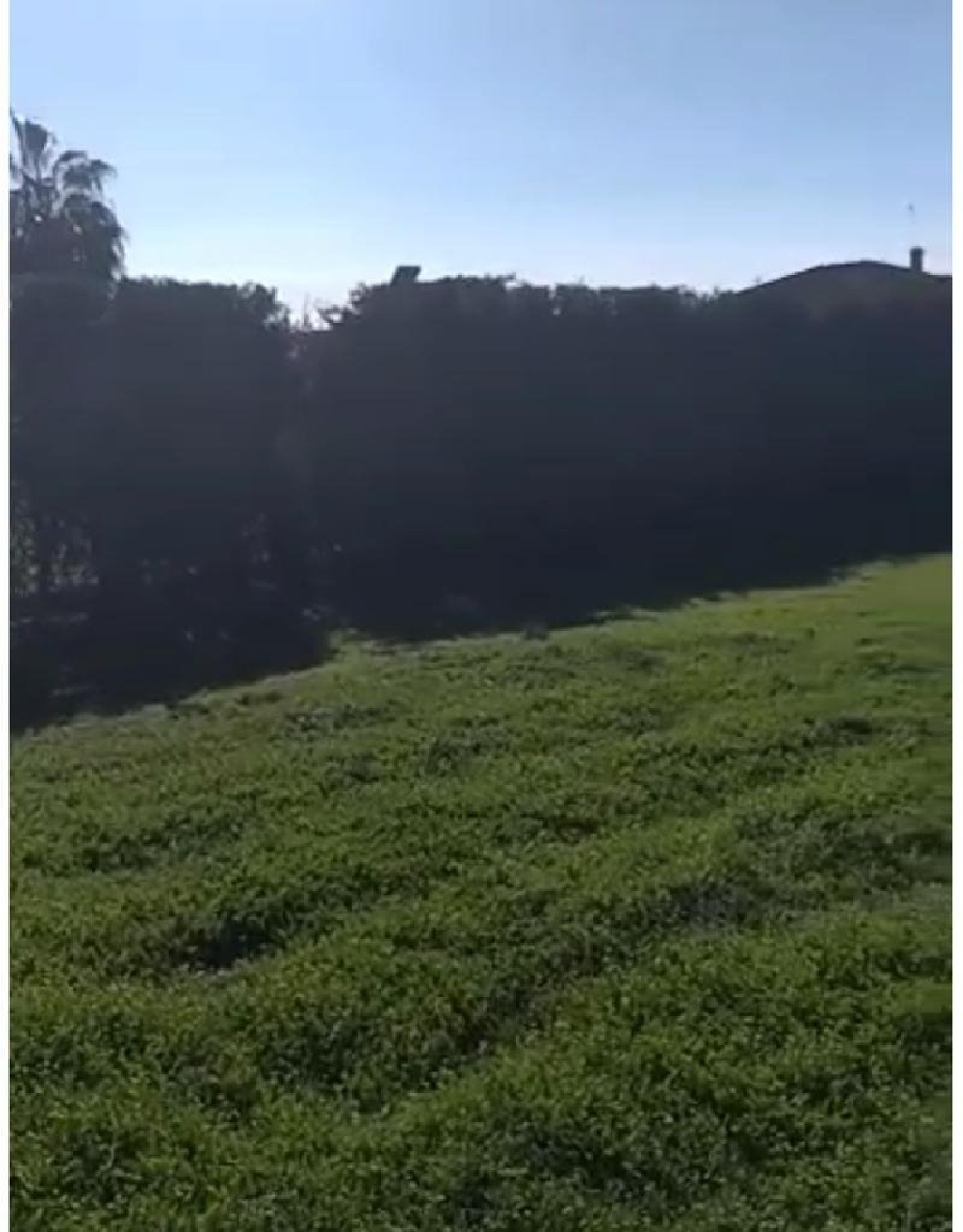 kaufen Grundstück Villafranca De Córdoba Alto Guadalquivir 3