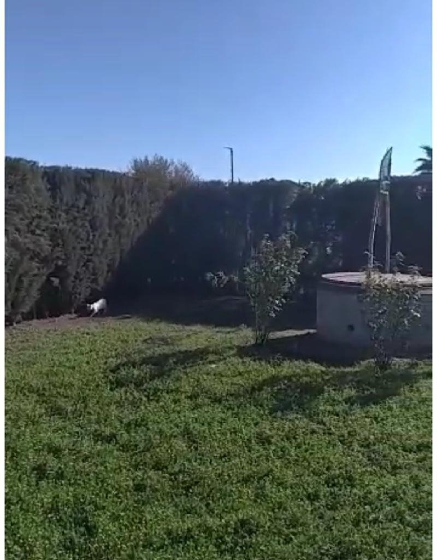 kaufen Grundstück Villafranca De Córdoba Alto Guadalquivir 2