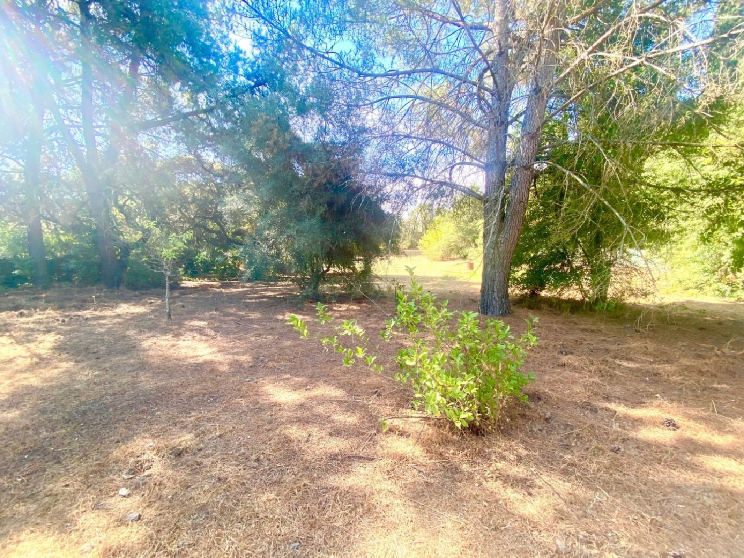en venta terreno Villafranca De Córdoba Alto Guadalquivir 3