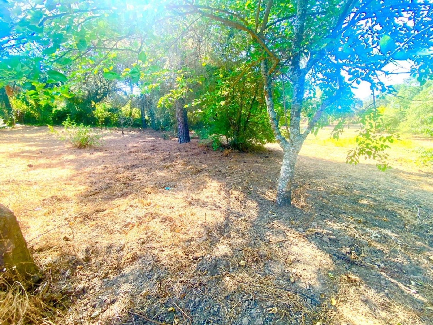  en venta terreno Villafranca De Córdoba Alto Guadalquivir 5
