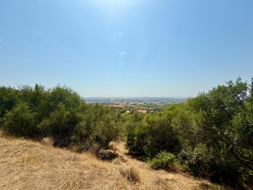 Villafranca De Córdoba Alto Guadalquivir terrain foto 6274117