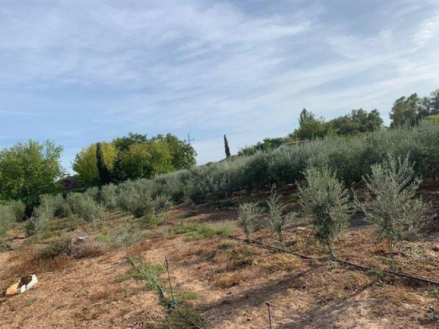  en venta terreno Villafranca De Córdoba Alto Guadalquivir 4