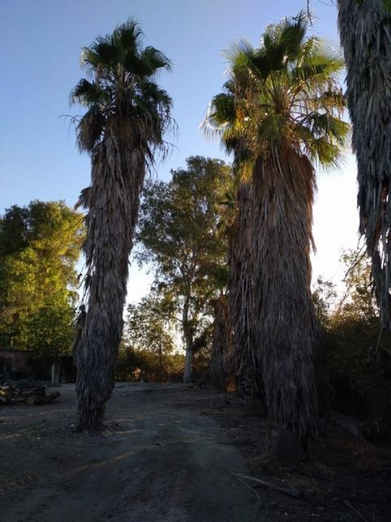  te koop perceel Villafranca De Córdoba Alto Guadalquivir 4