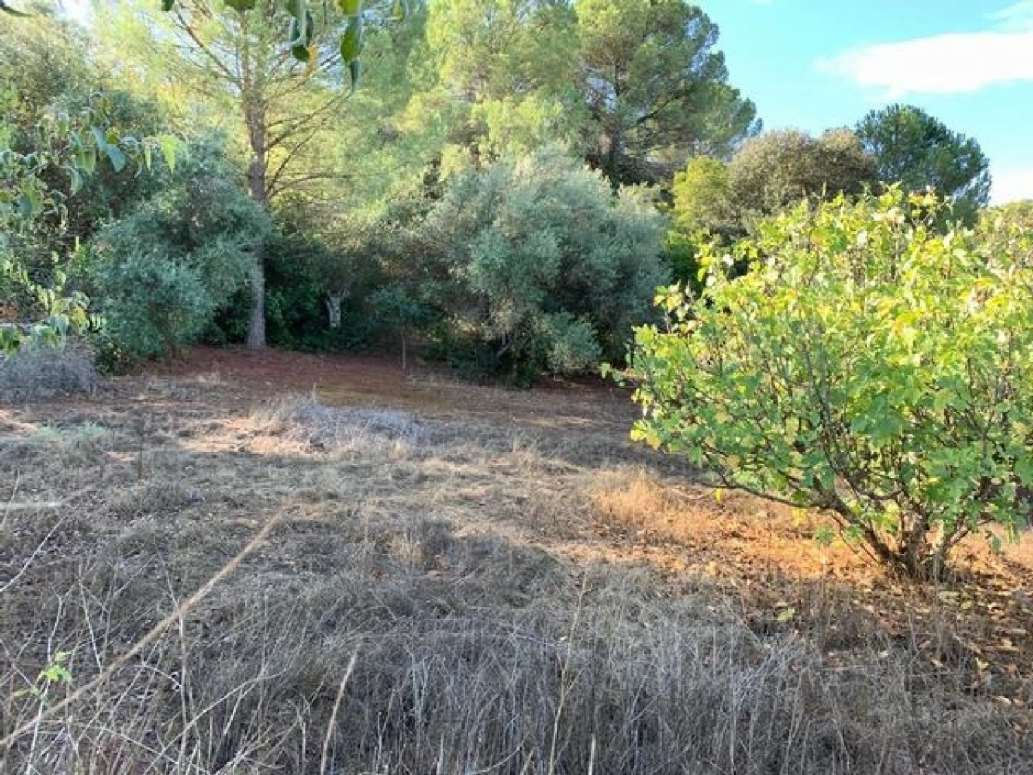  for sale plot Villafranca De Córdoba Alto Guadalquivir 4