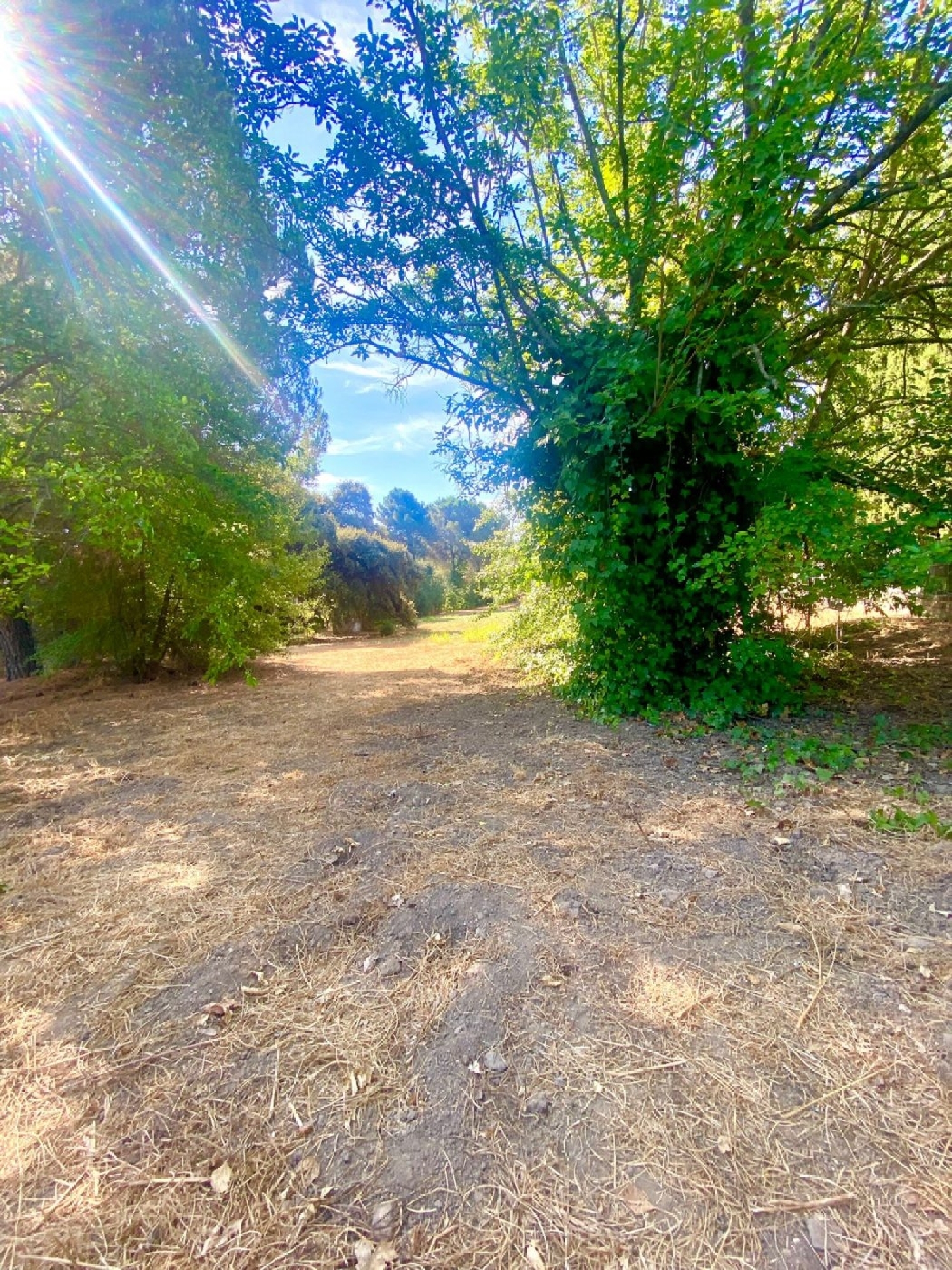  for sale plot Villafranca De Córdoba Alto Guadalquivir 4