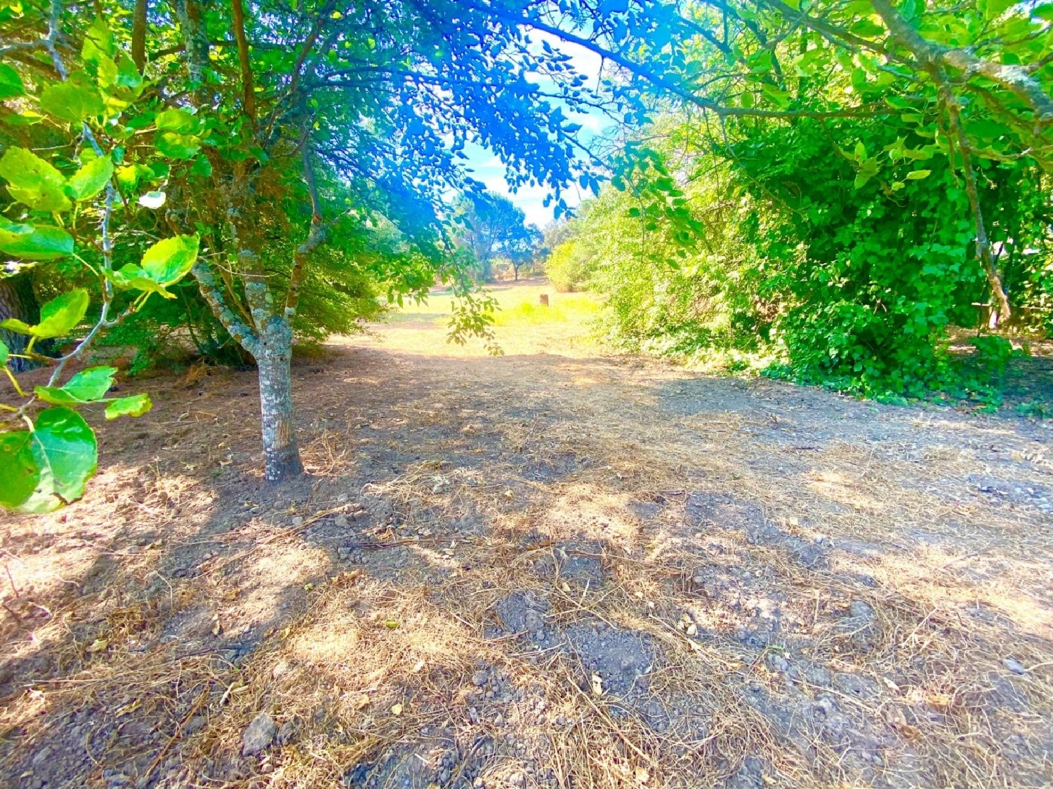 for sale plot Villafranca De Córdoba Alto Guadalquivir 1