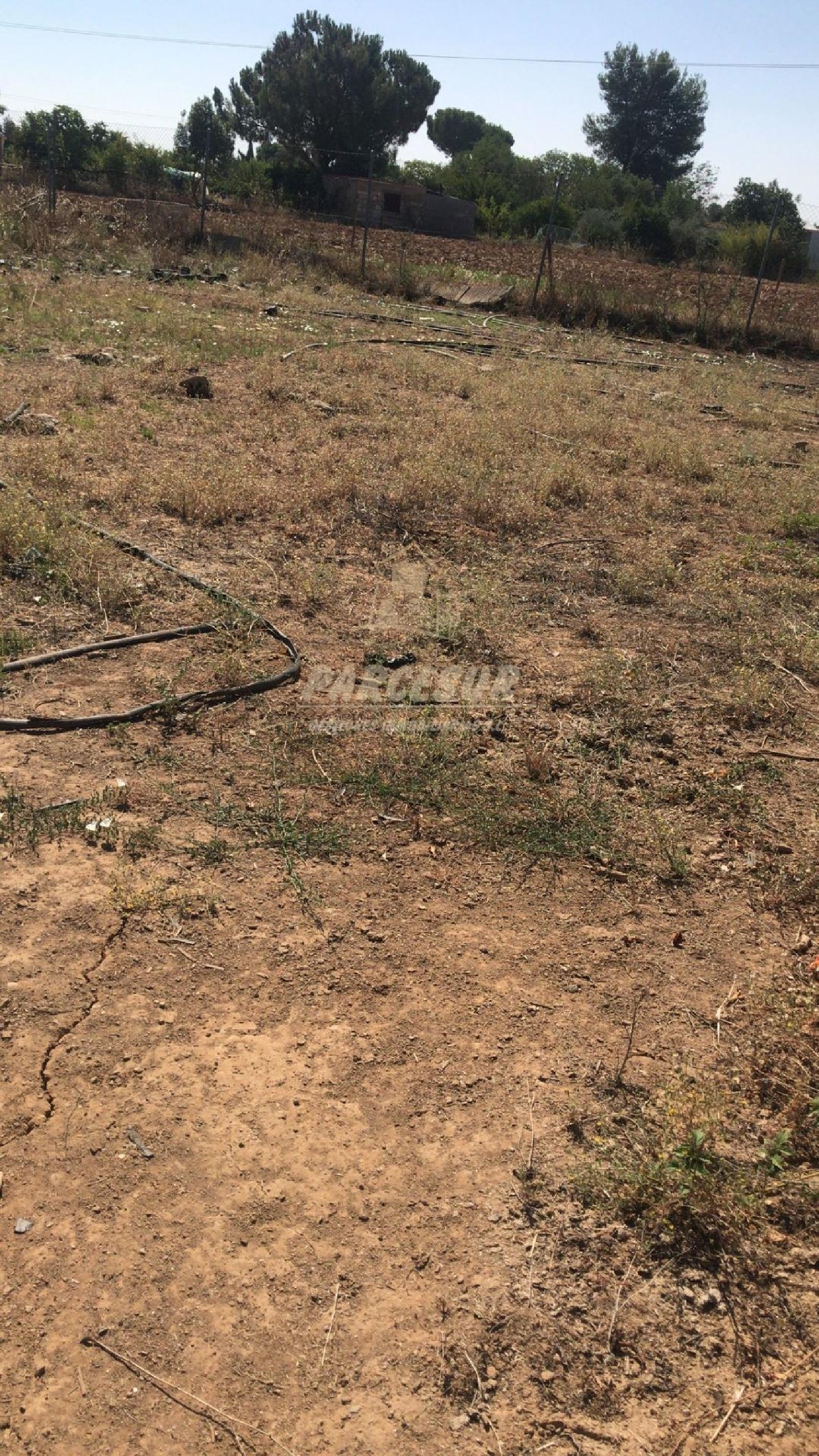  for sale plot Villafranca De Córdoba Alto Guadalquivir 4