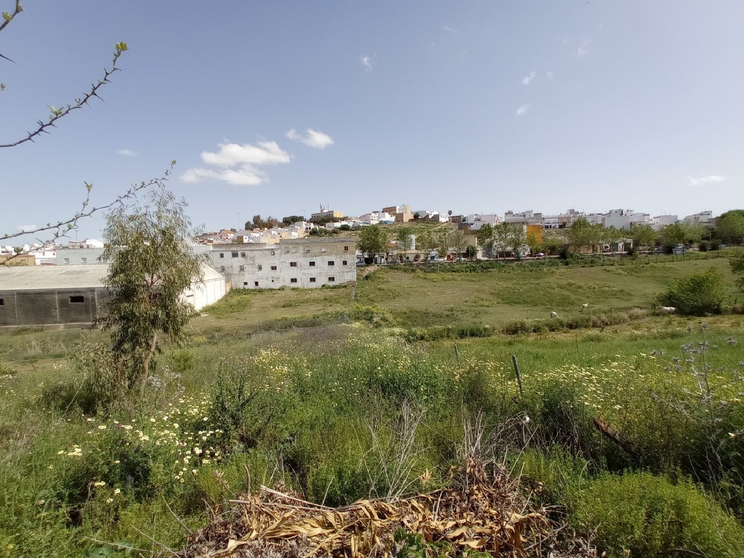  en venta terreno Villamartín Baix Segura 5
