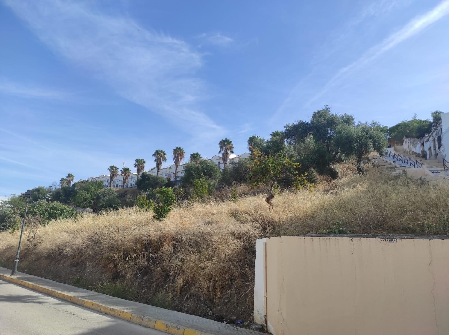 à vendre terrain Villamartín Baix Segura 3
