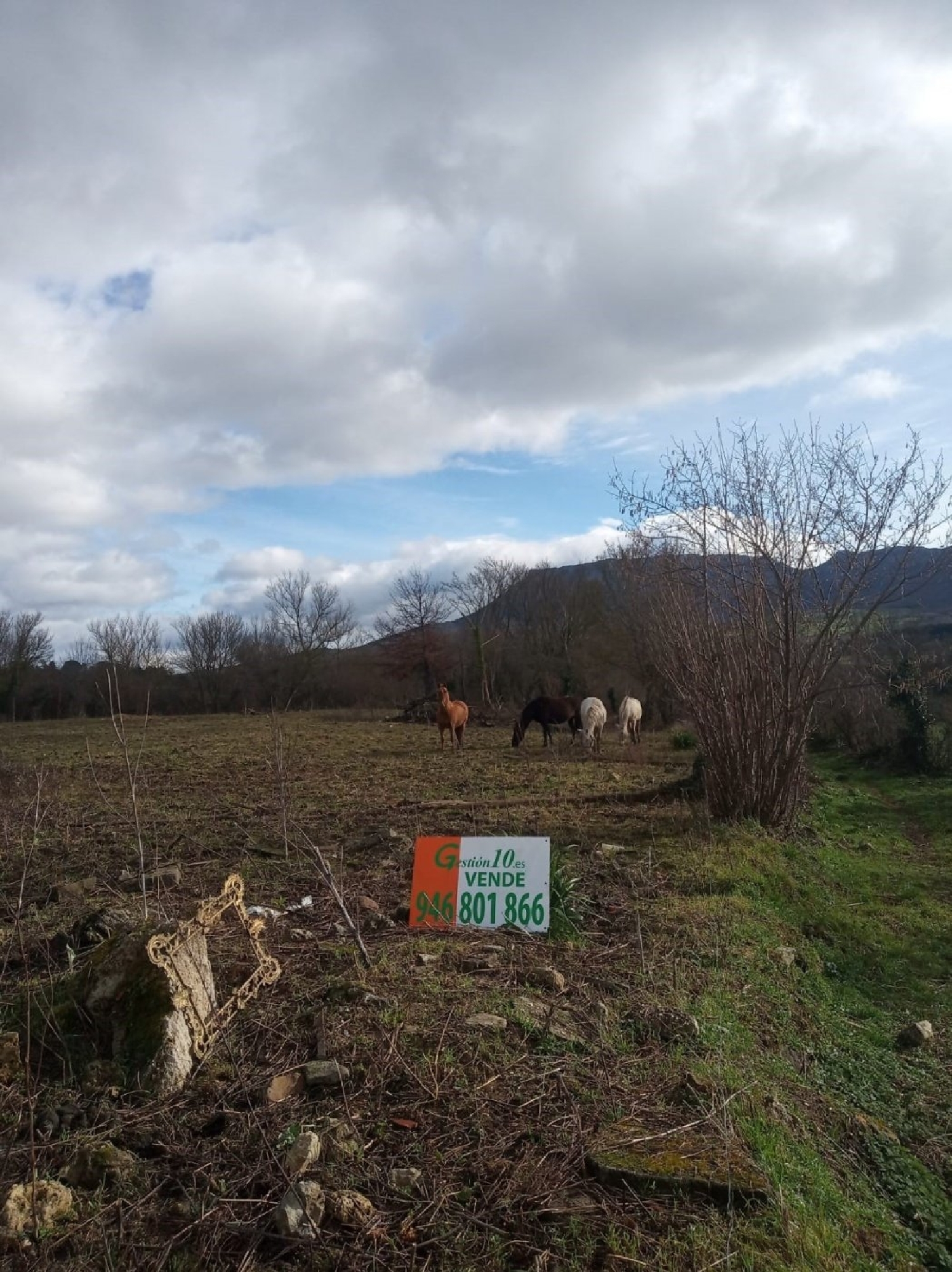  for sale plot Villanasur Río De Oca Montes De Oca 5