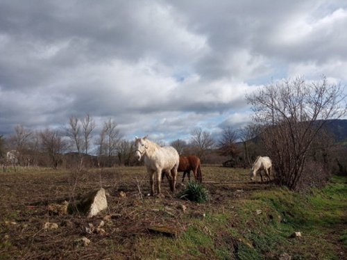 Villanasur Rรญo De Oca Montes De Oca plot foto 6275925