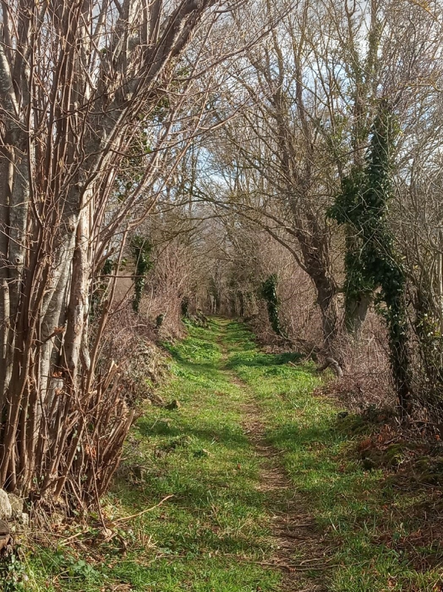 for sale plot Villanasur Río De Oca Montes De Oca 2
