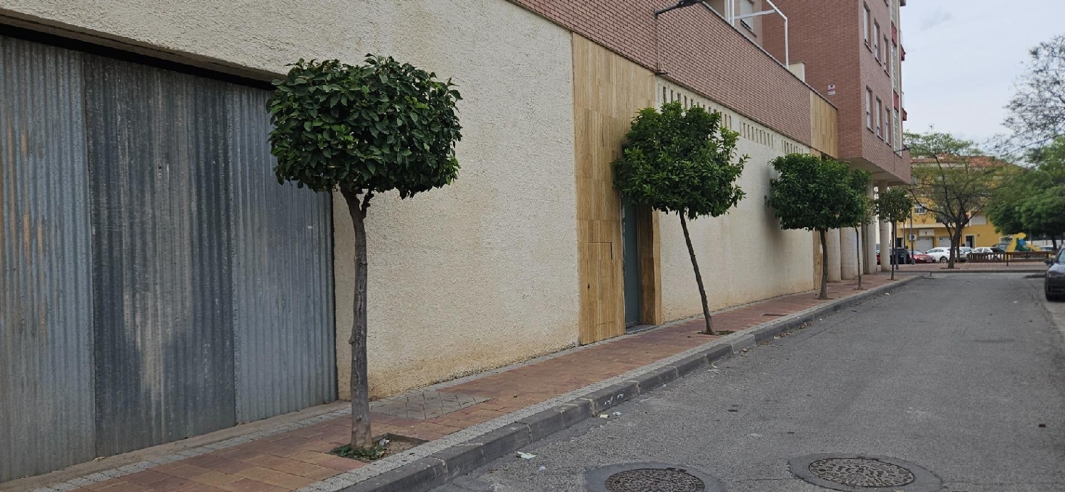  for sale commercial premise Alcantarilla Huerta De Murcia 8