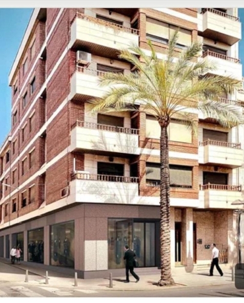 Catarroja Horta Sud commercial premise foto 6283503
