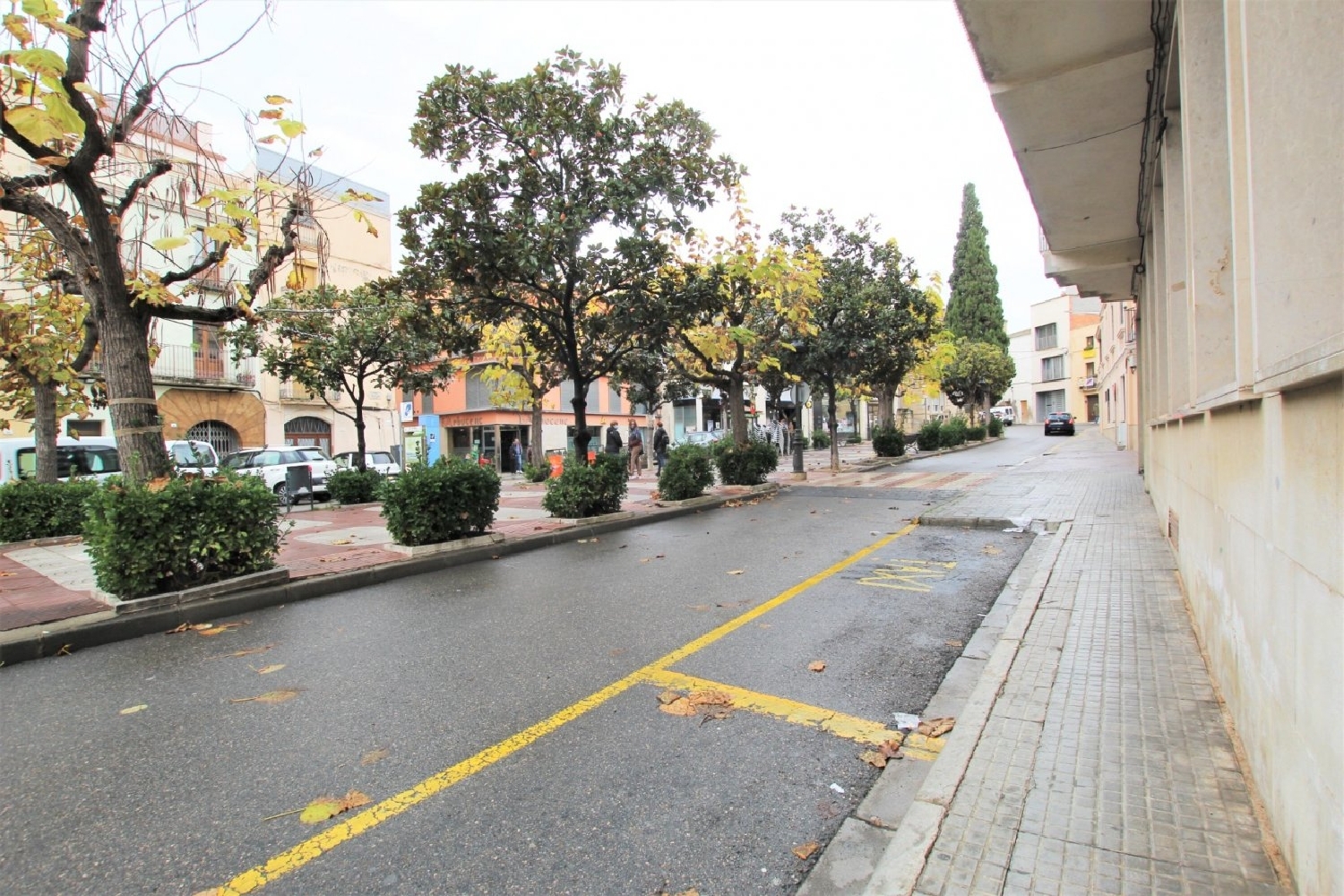  en venta local Colonia Gasol Baix Ebre 4