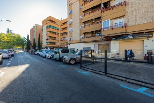 Granada Vega De Granada commercial premise foto 6284321