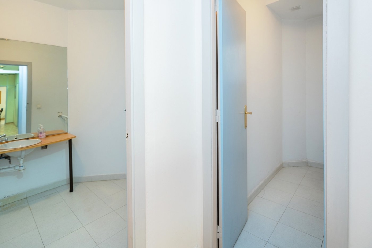  for sale commercial premise Granada Vega De Granada 5