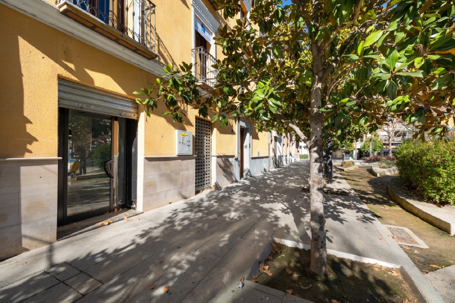  for sale commercial premise Granada Vega De Granada 6