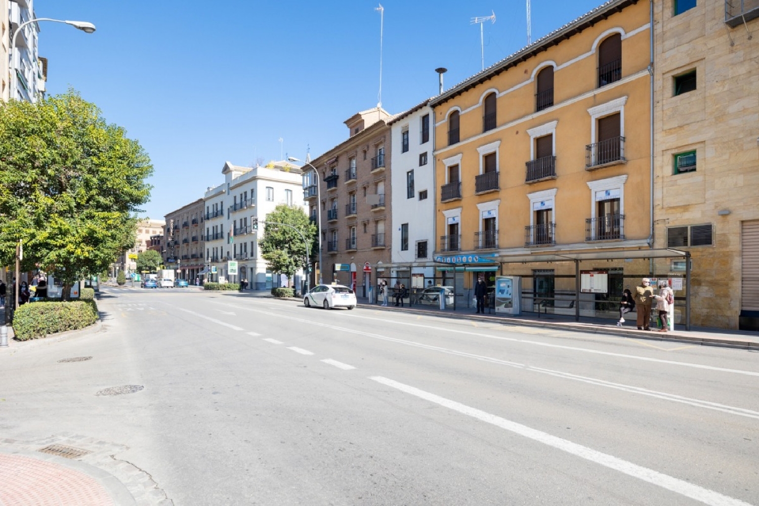 for sale commercial premise Granada Vega De Granada 3