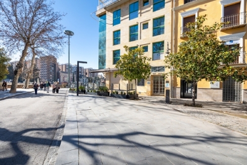 Granada Vega De Granada commercial premise foto 6284330