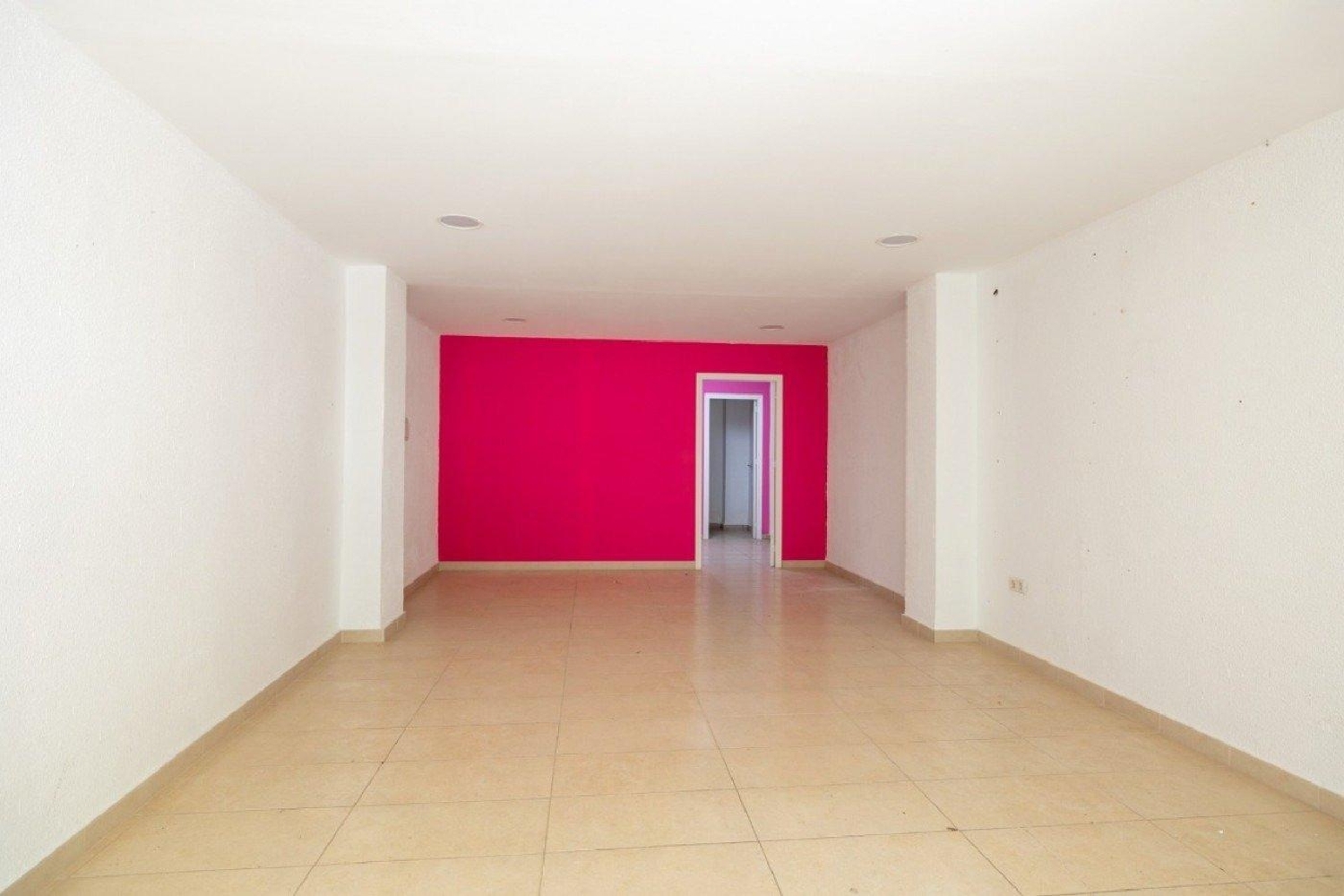  for sale commercial premise Granada Vega De Granada 4