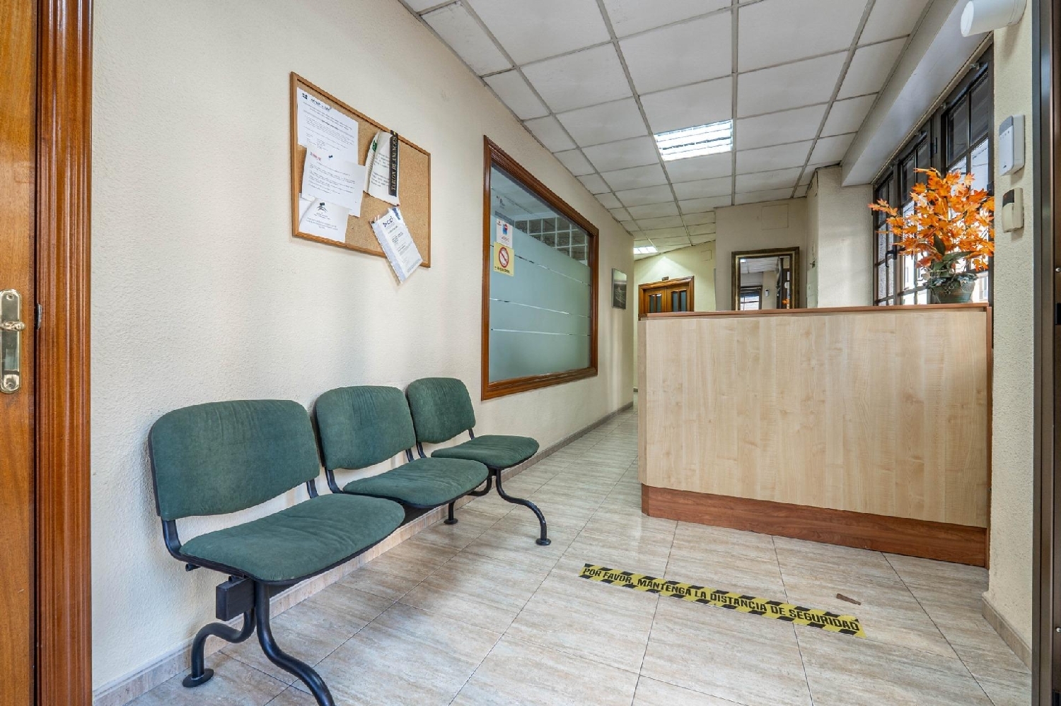 for sale commercial premise Granada Vega De Granada 3