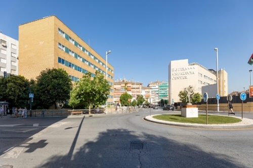 Granada Vega De Granada commercial premise foto 6283393