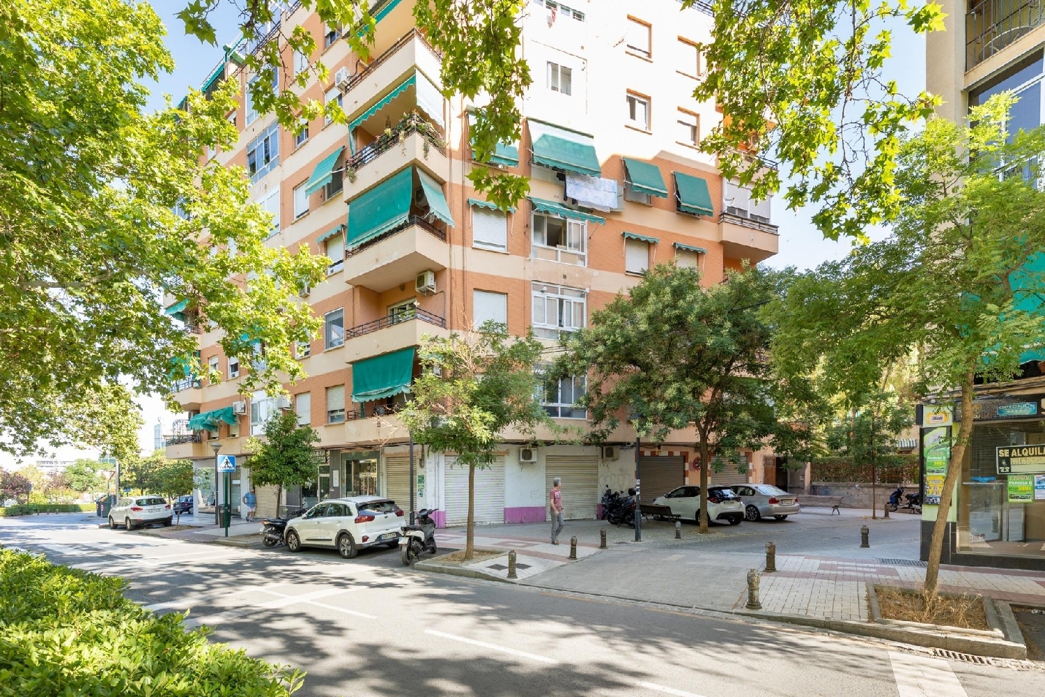 for sale commercial premise Granada Vega De Granada 2