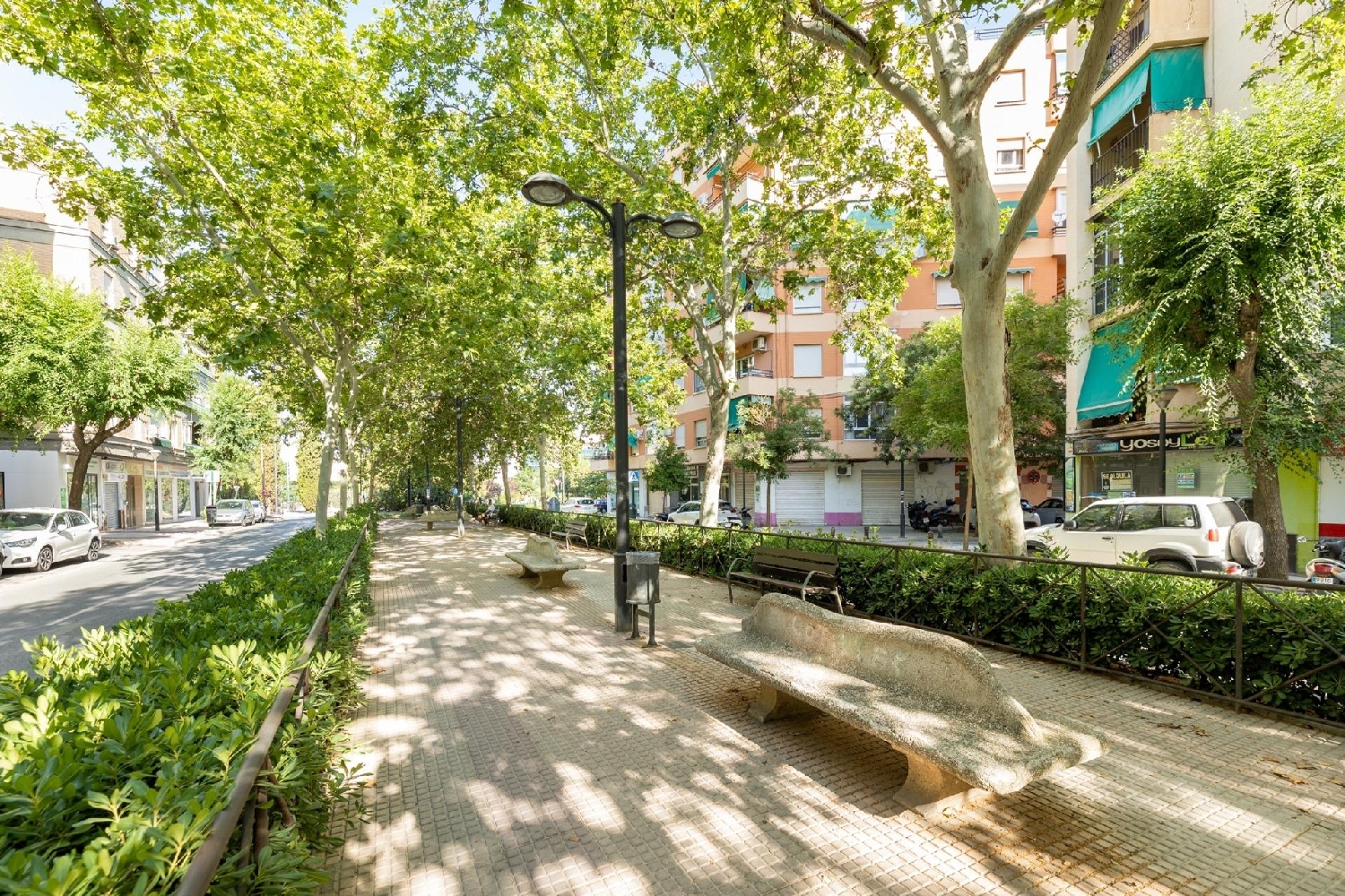  for sale commercial premise Granada Vega De Granada 1