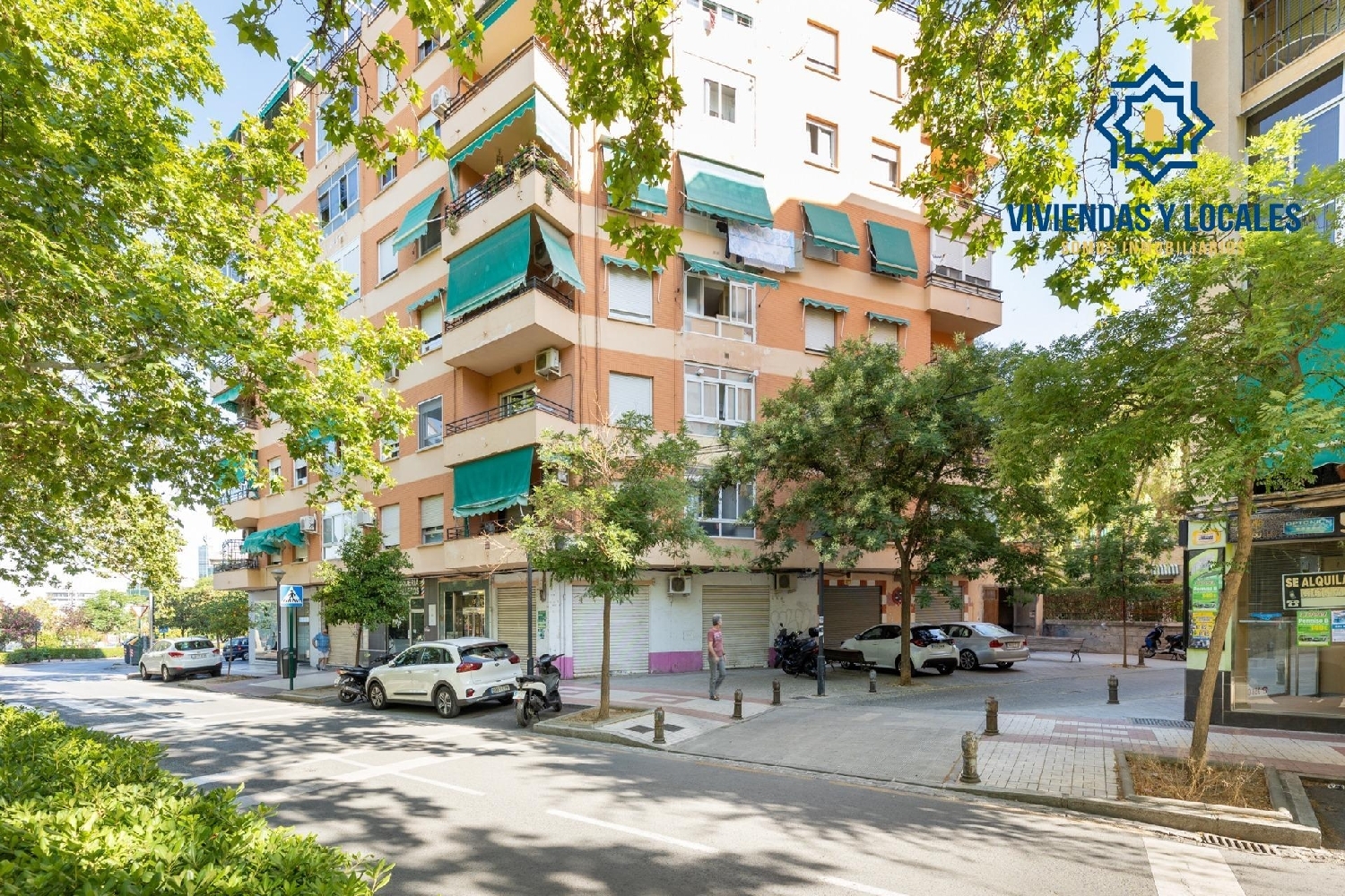 for sale commercial premise Granada Vega De Granada 3