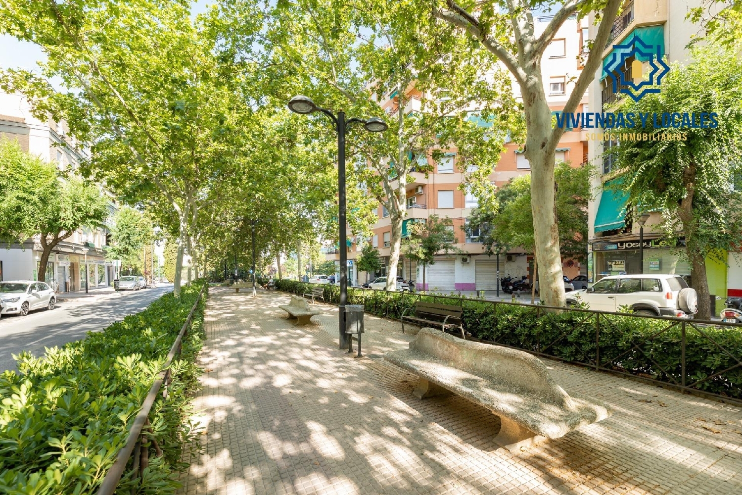 for sale commercial premise Granada Vega De Granada 2