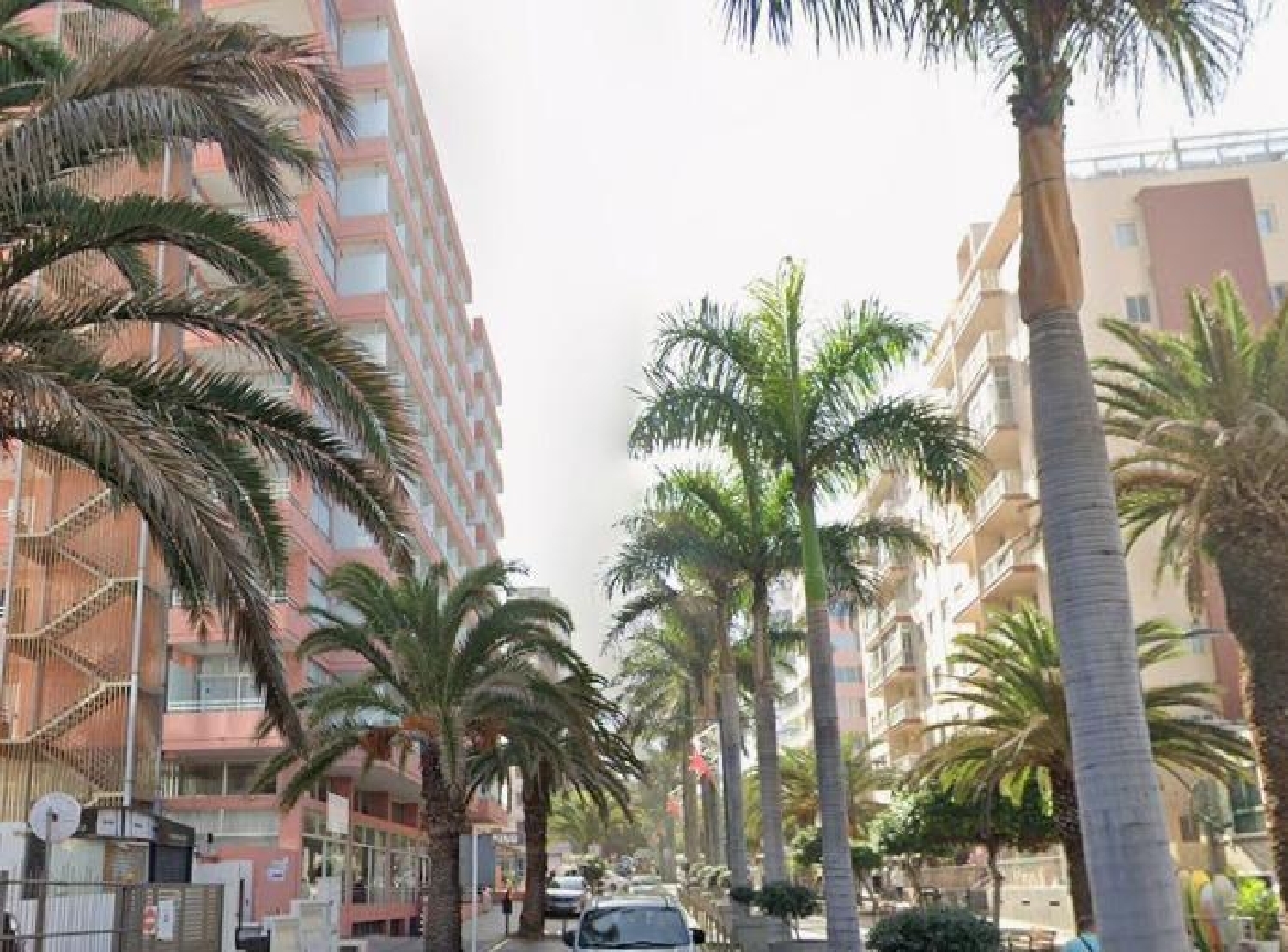  till salu lokal Las Dehesas Zona Norte 2