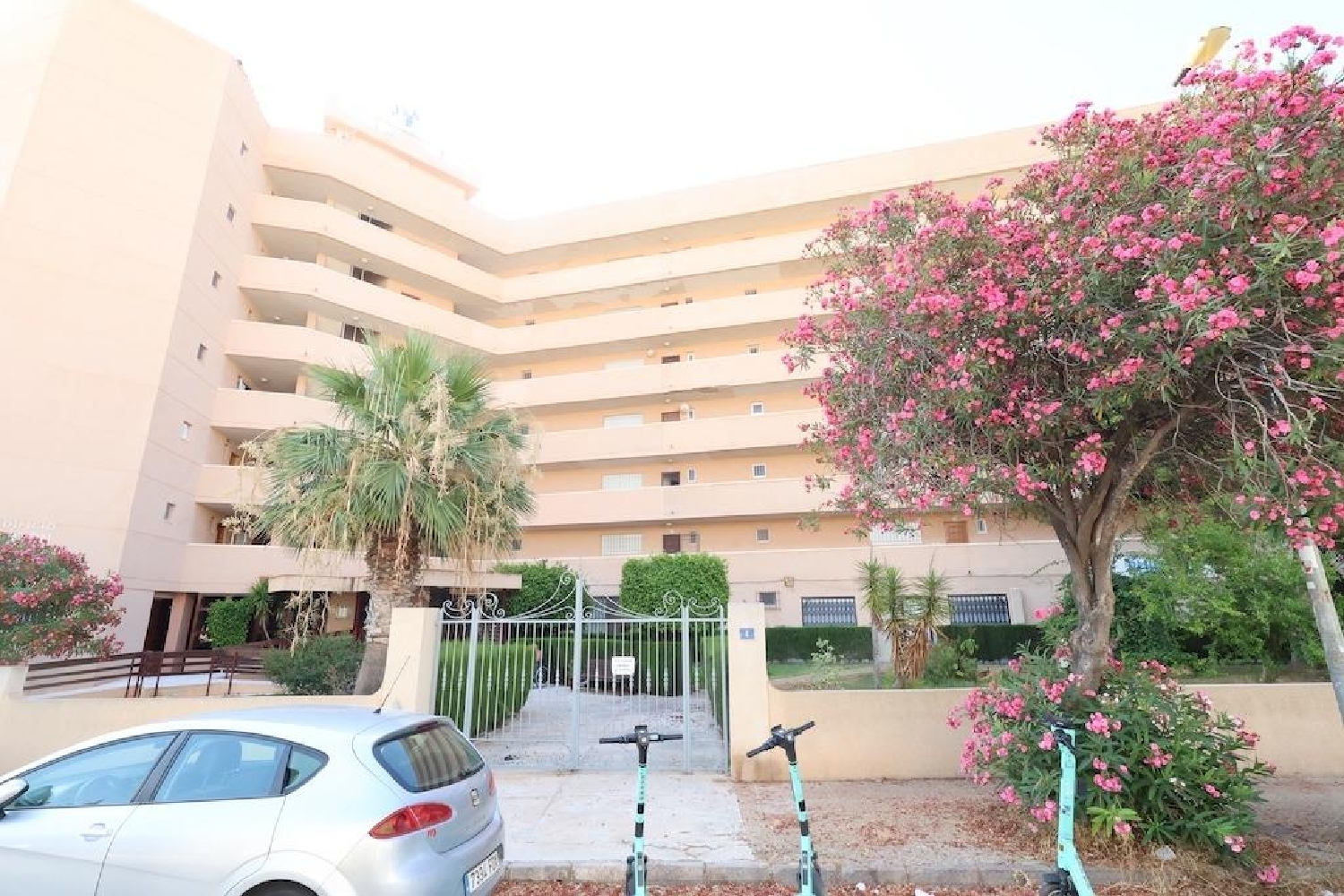 for sale commercial premise Orihuela Costa Baix Segura 2