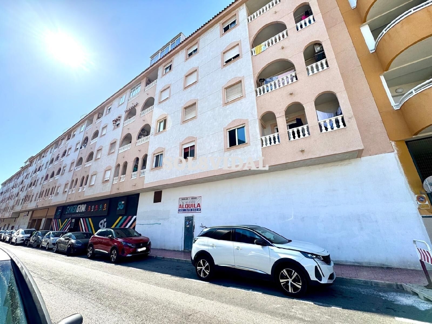  en venta local Torrevieja Baix Segura 1