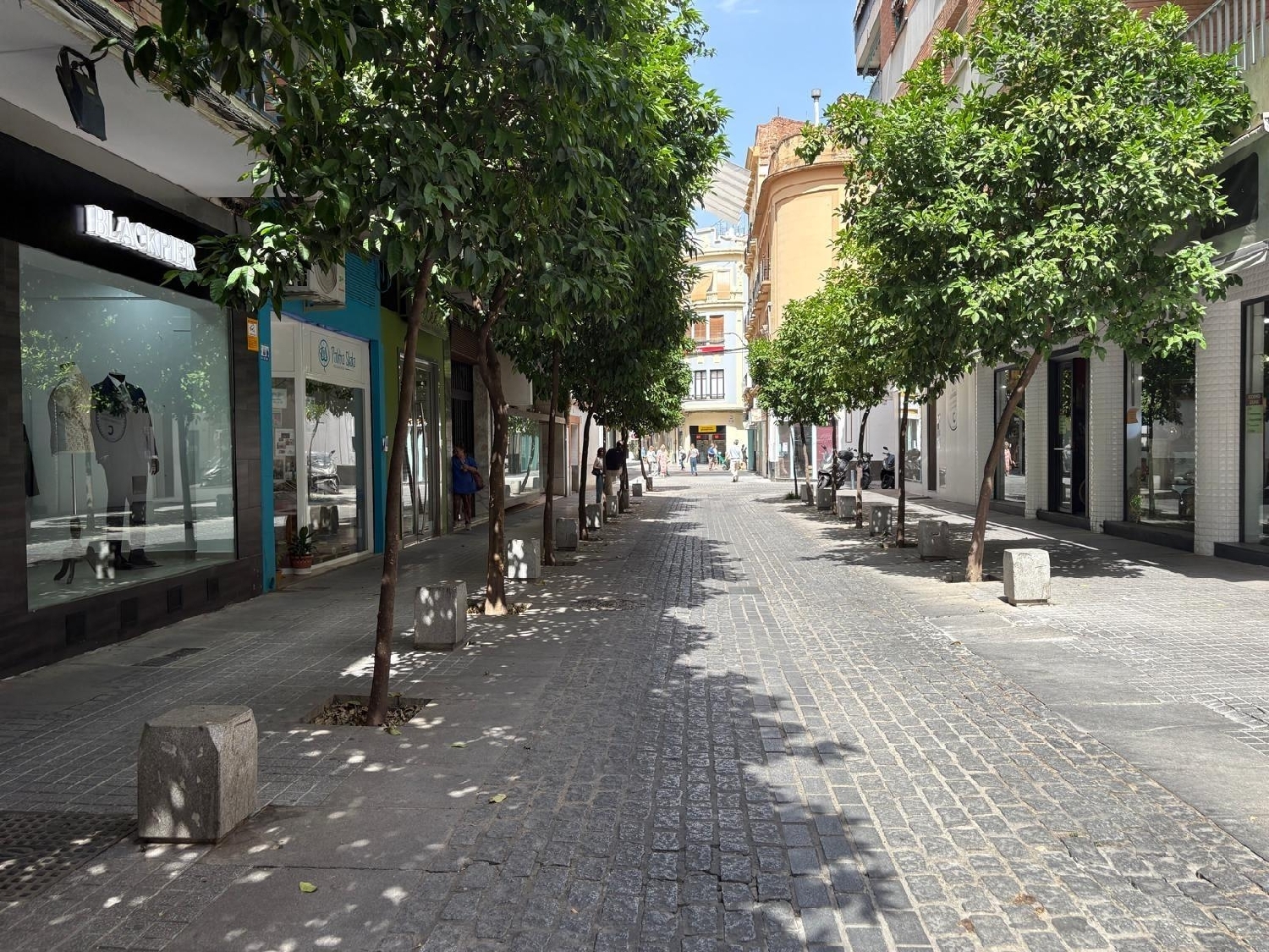 kaufen Gewerberaum Villafranca De Córdoba Alto Guadalquivir 3