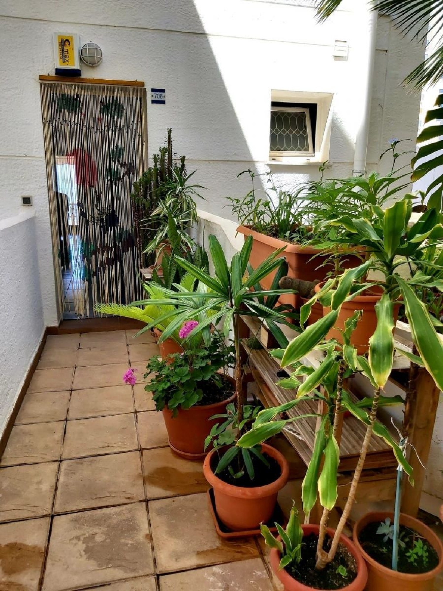  kaufen Doppelhaushälfte Benidorm Marina Baixa 1