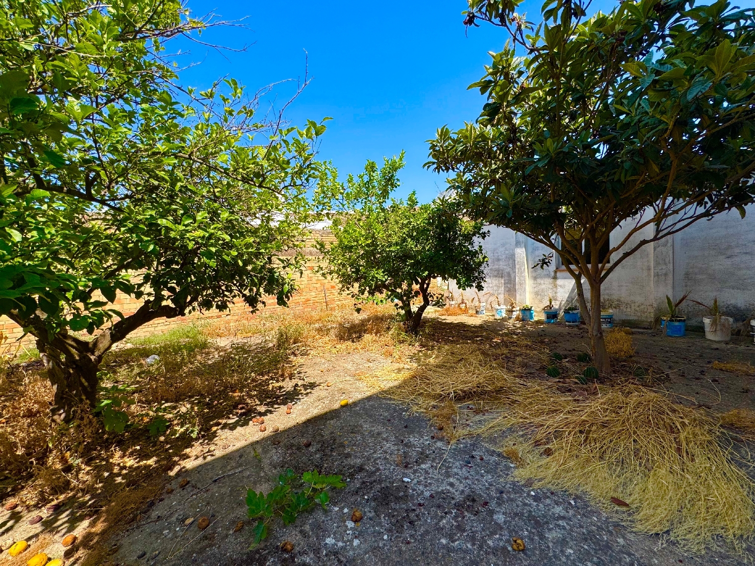  te koop twee-onder-een-kapwoning Olivares Aljarafe 8