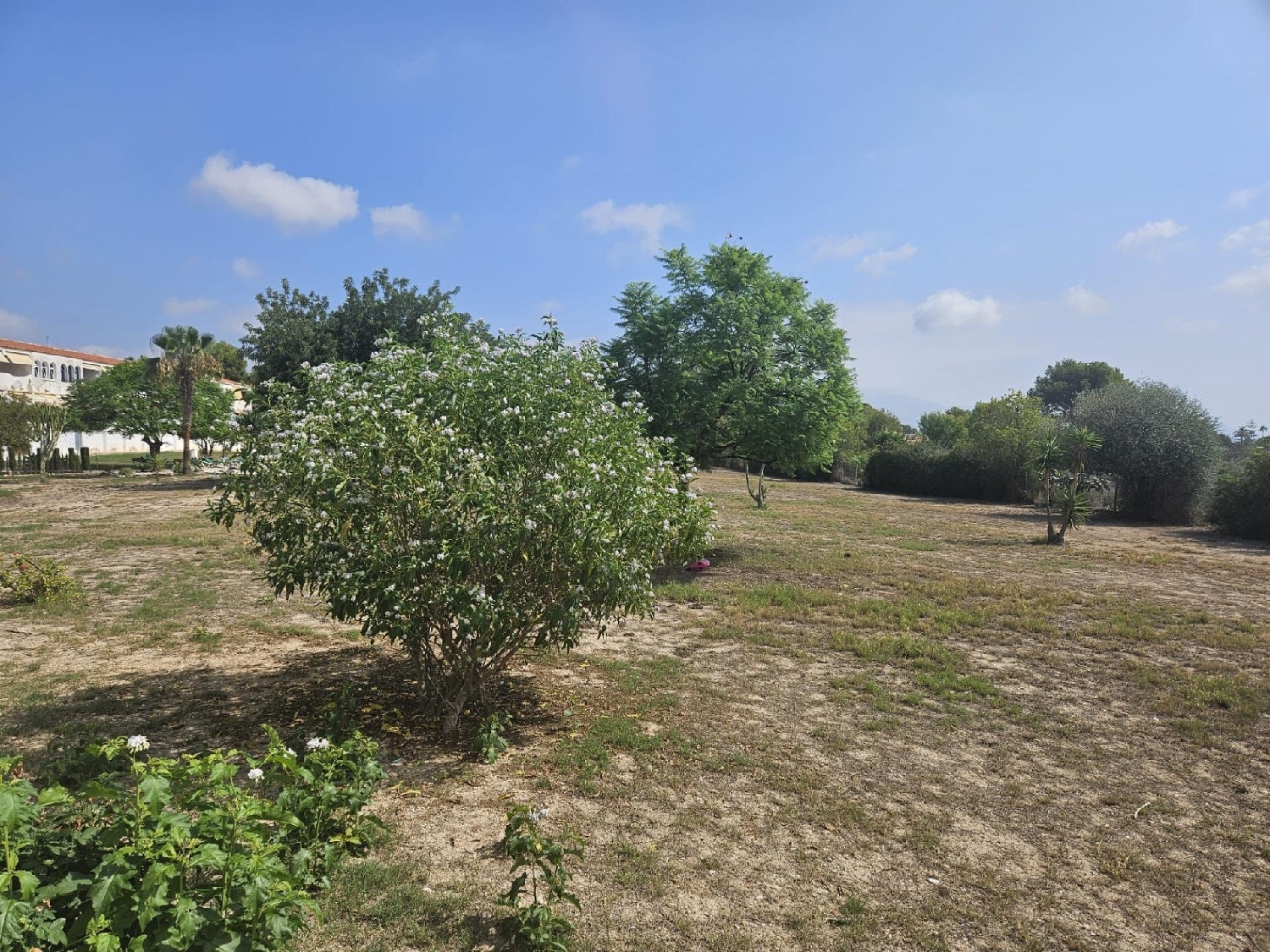  à vendre studio Coloma Marina Baixa 1