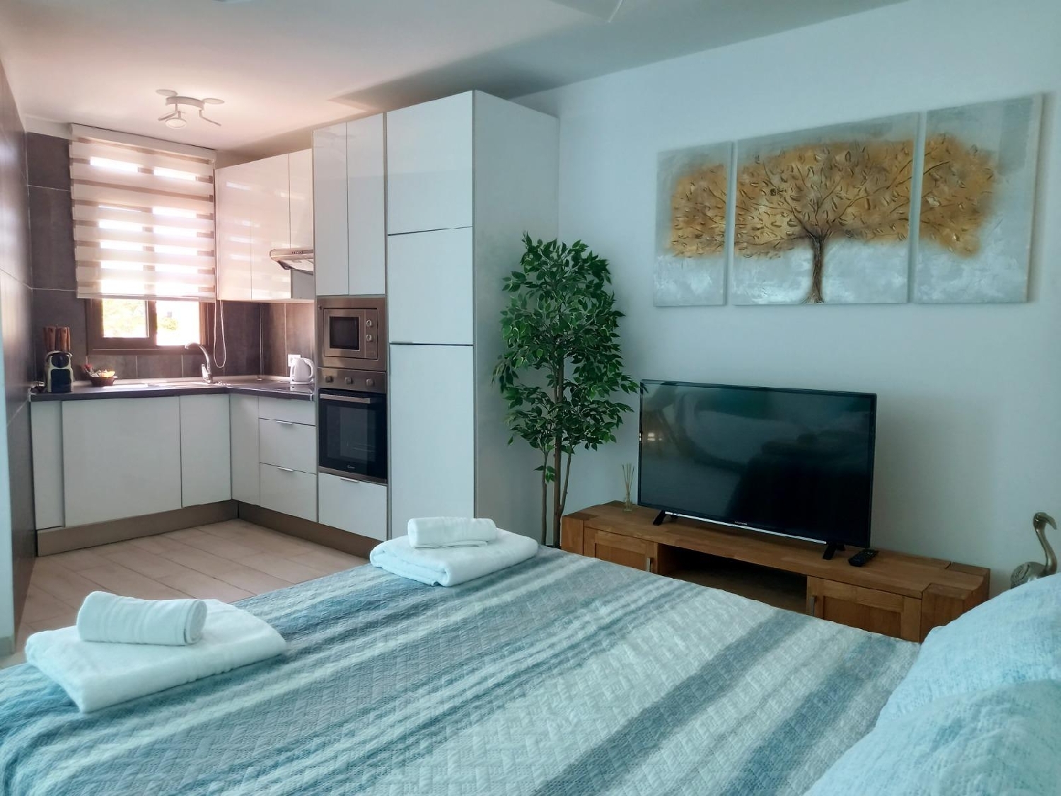  à vendre studio Playa De Los Cristianos Zona Sur 5