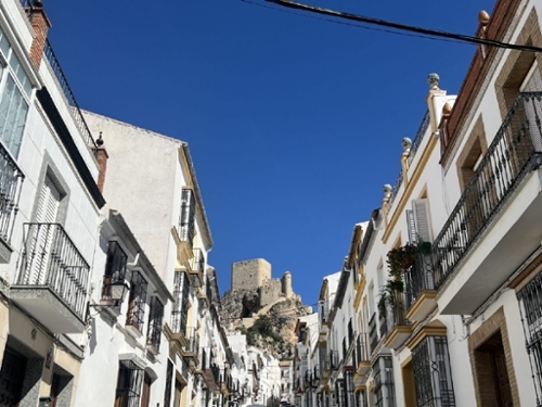 Olvera Sierra De Cádiz Reihenhaus Bild 6271145