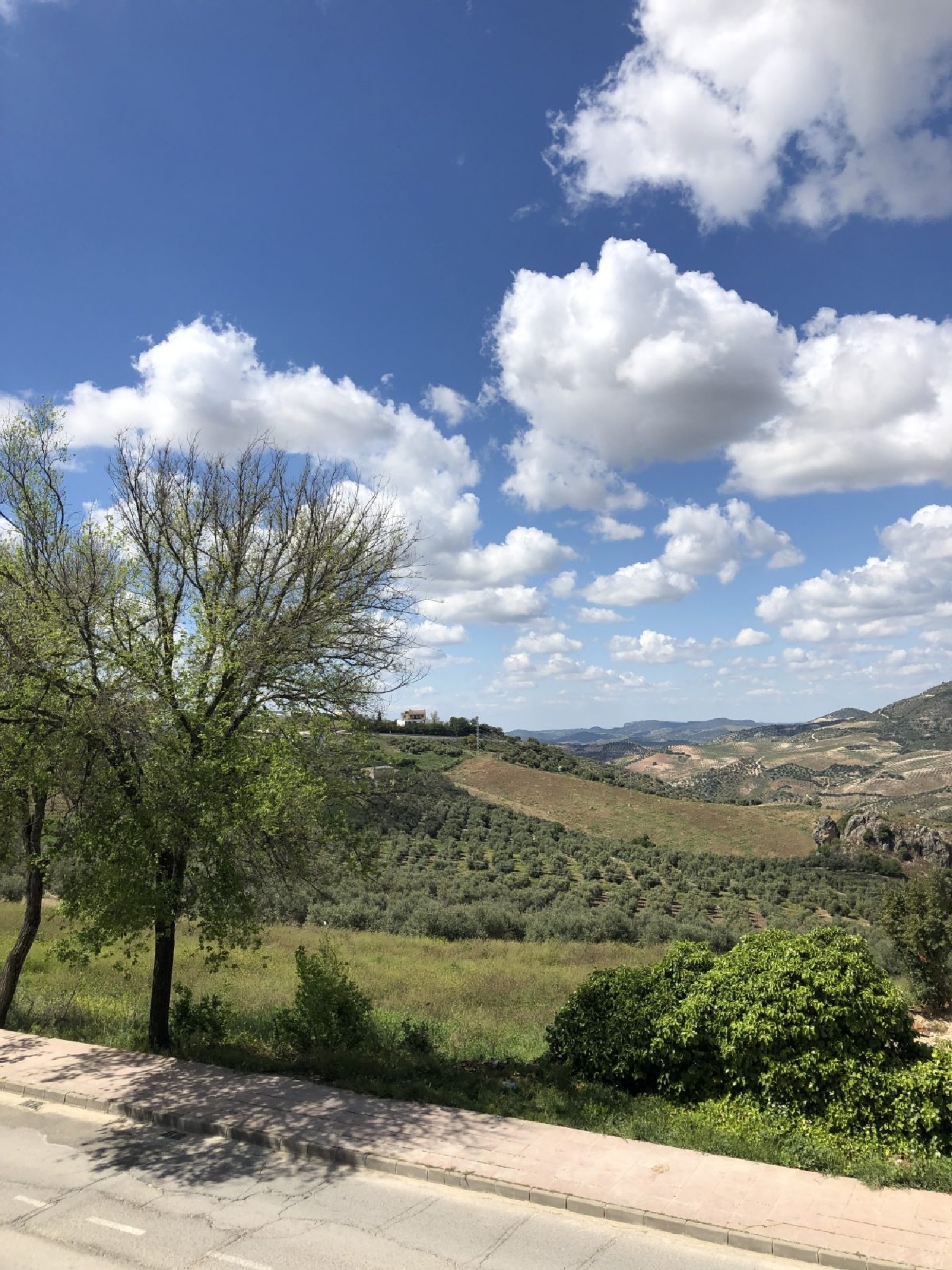  à vendre maison de ville Olvera Sierra De Cádiz 15