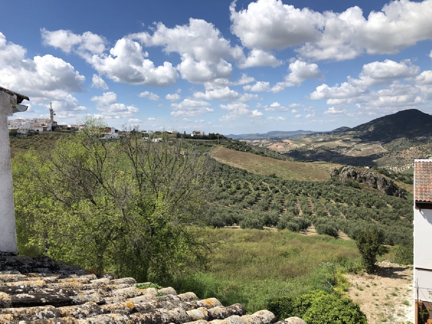  à vendre maison de ville Olvera Sierra De Cádiz 13