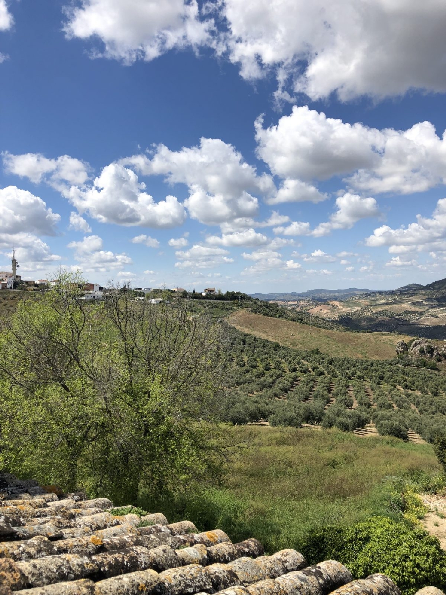  à vendre maison de ville Olvera Sierra De Cádiz 10